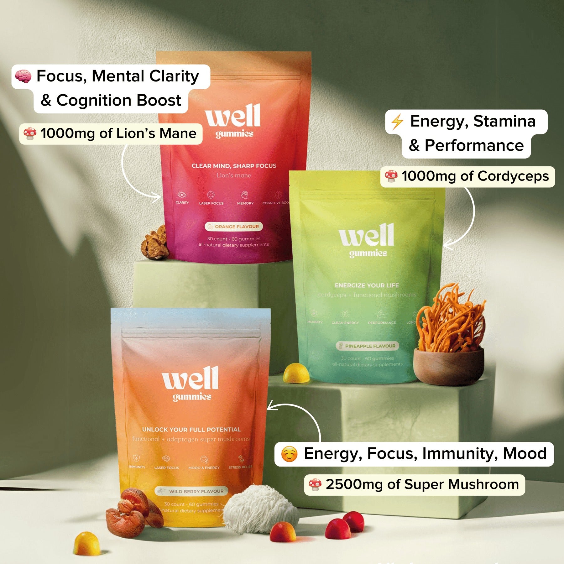 Complete Day & Night Bundle