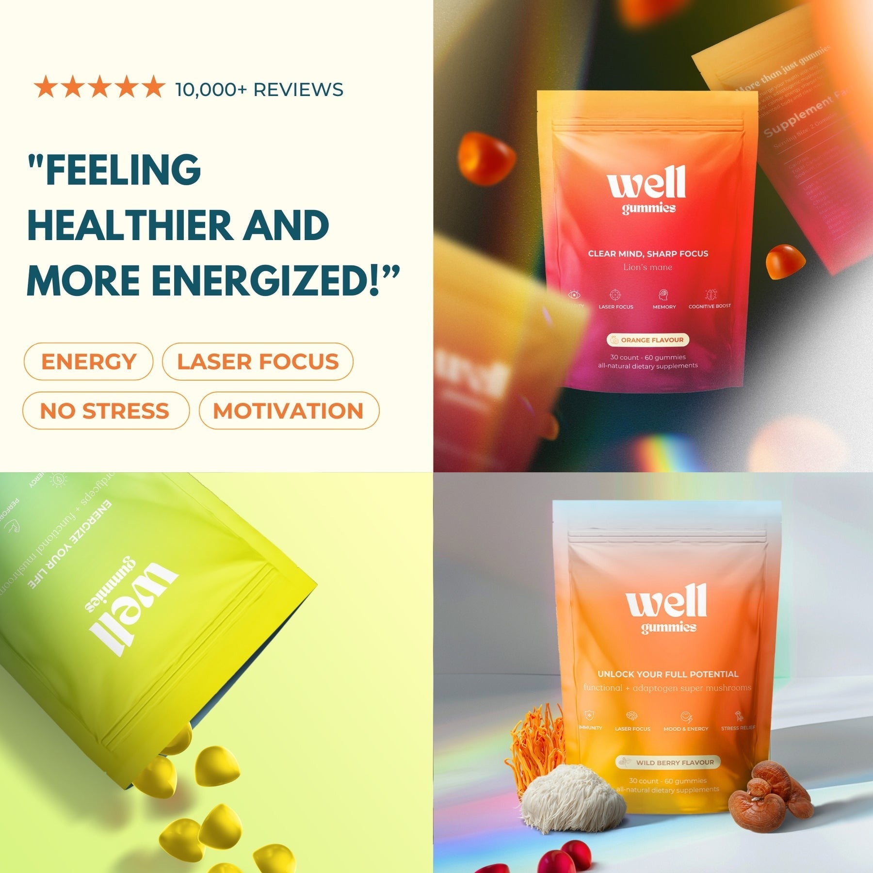 Complete Day & Night Bundle