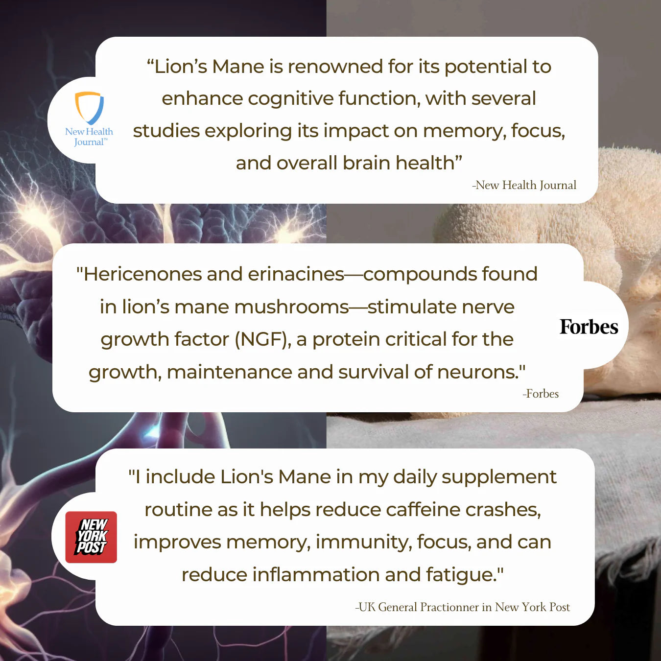 LION'S MANE FOCUS GUMMIES